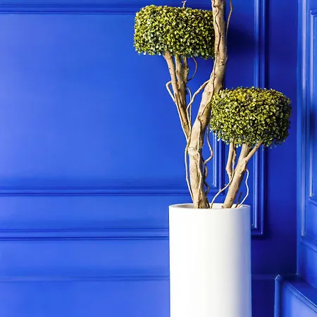 Ibis Styles Centro Liberdade Ne Hotell Lisboa